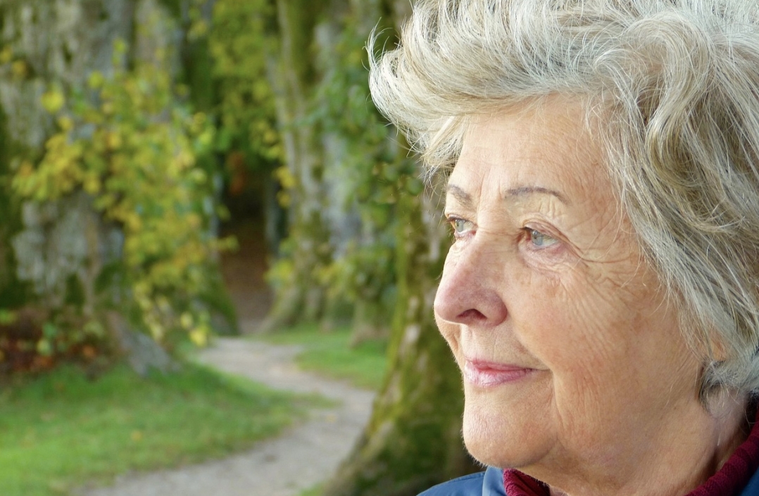 Wybór kariery z myślą o wcześniejszej emeryturze: Co warto wiedzieć?