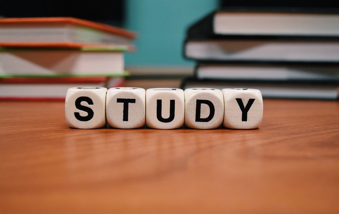 Praktyki studenckie – różnorodność doświadczeń i możliwości